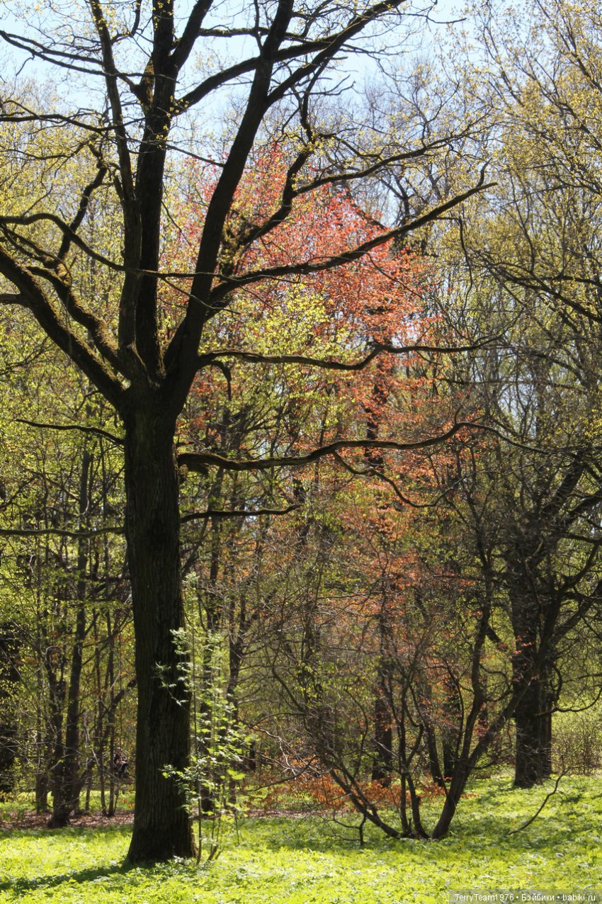 Железный Человек: приключения без брони. Весенняя прогулка