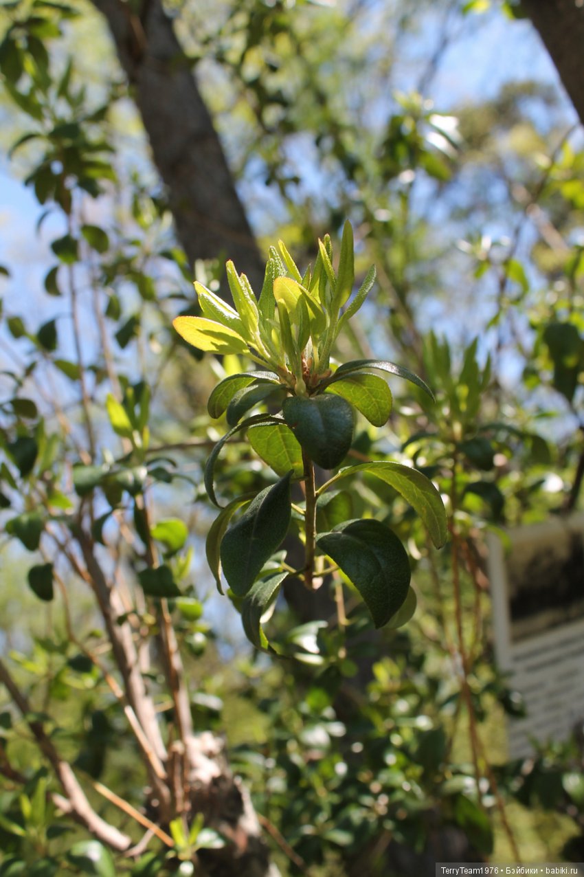 Железный Человек: приключения без брони. Весенняя прогулка (фото 3)