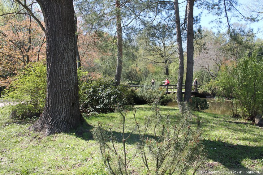 Железный Человек: приключения без брони. Весенняя прогулка