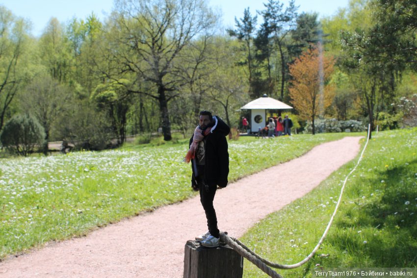 Железный Человек: приключения без брони. Весенняя прогулка