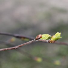 Посетите Карелию - это волшебное место! Горный парк "Рускеала"