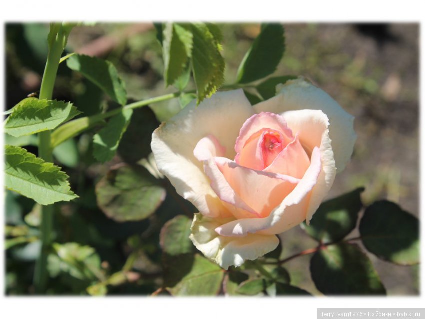 Железный человек: приключения без брони. Туда и обратно | Бэйбики Железный человек: приключения без брони. Туда и обратно