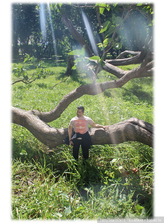 Железный человек: приключения без брони. Туда и обратно | Бэйбики Железный человек: приключения без брони. Туда и обратно