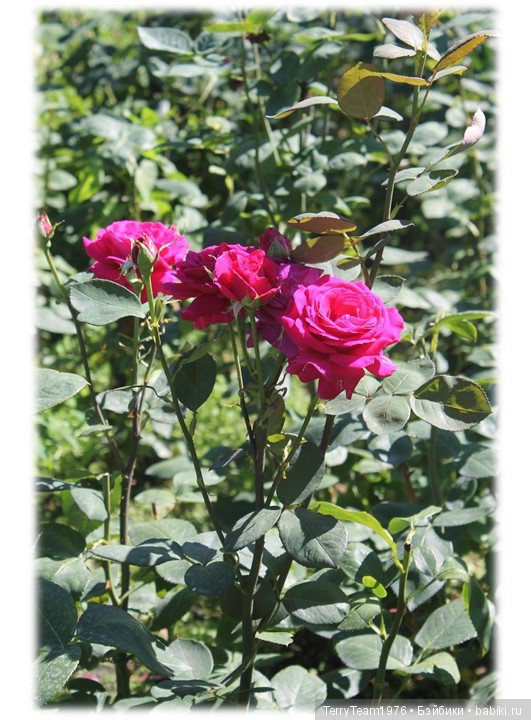 Железный человек: приключения без брони. Туда и обратно | Бэйбики Железный человек: приключения без брони. Туда и обратно