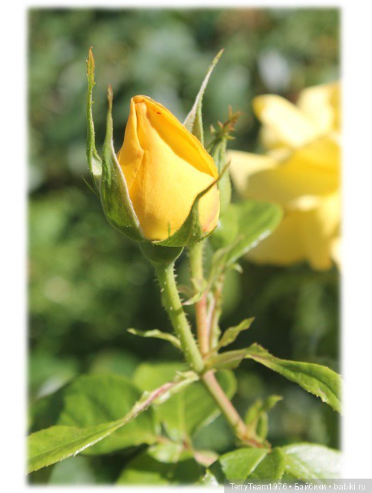 Железный человек: приключения без брони. Туда и обратно | Бэйбики Железный человек: приключения без брони. Туда и обратно