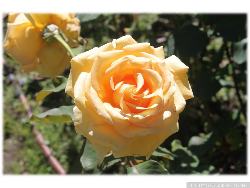 Железный человек: приключения без брони. Туда и обратно | Бэйбики Железный человек: приключения без брони. Туда и обратно