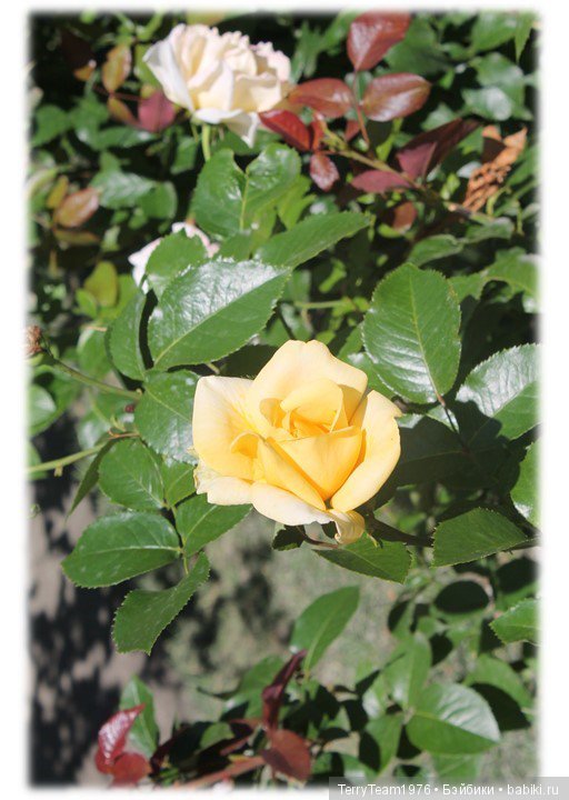 Железный человек: приключения без брони. Туда и обратно | Бэйбики Железный человек: приключения без брони. Туда и обратно