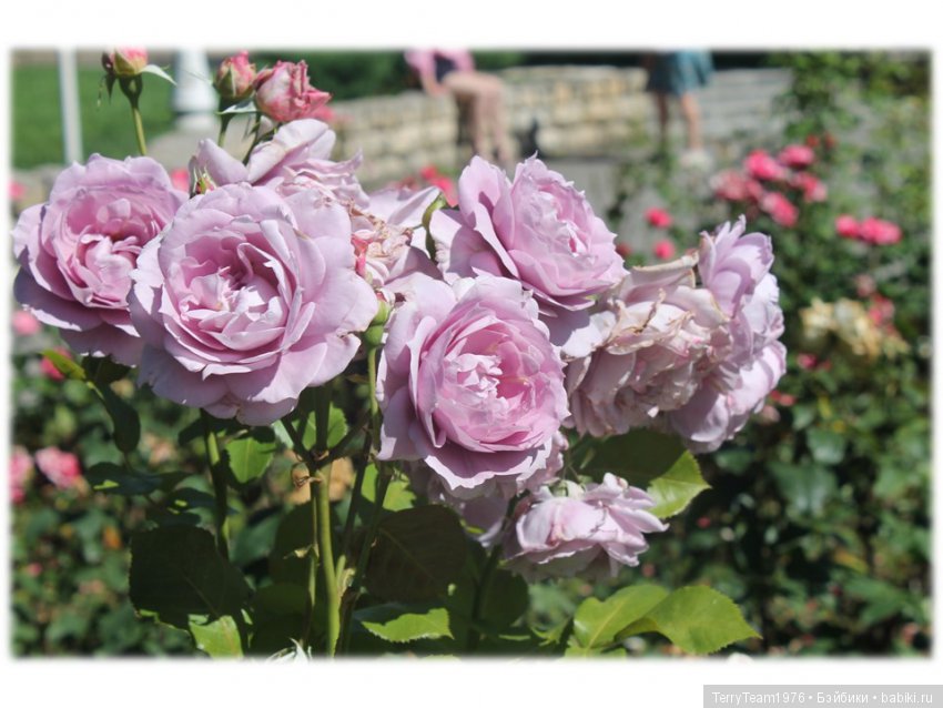 Железный человек: приключения без брони. Туда и обратно | Бэйбики Железный человек: приключения без брони. Туда и обратно