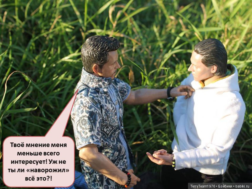 Все на Пикник! Часть 6 — Кукольные фотоистории и сериалы: комиксы (фото 8)