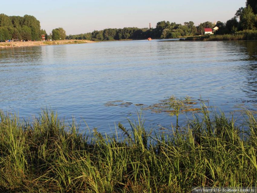 Все на Пикник! Часть 6 — Кукольные фотоистории и сериалы: комиксы