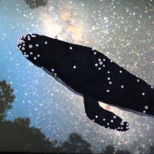 Космос прямо перед тобой