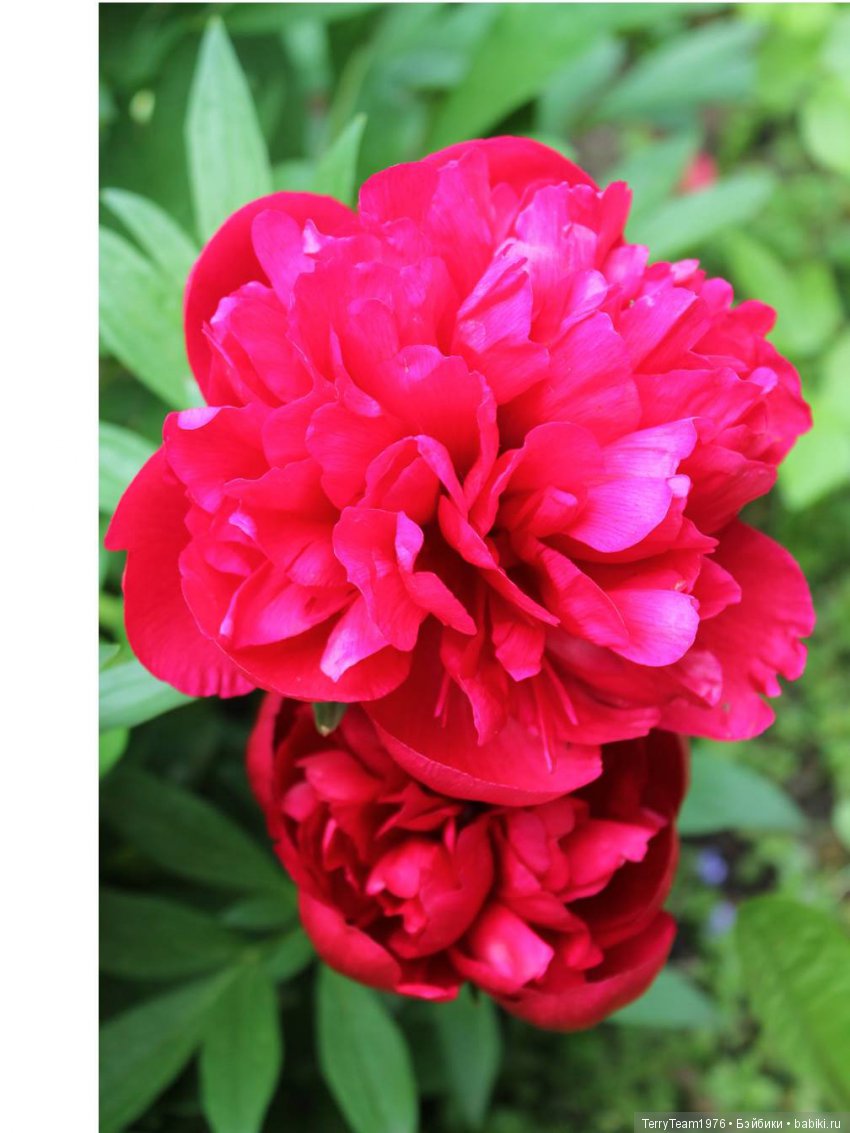 Железный человек: приключеня без брони. Большие выходные в Ярославле, часть 1