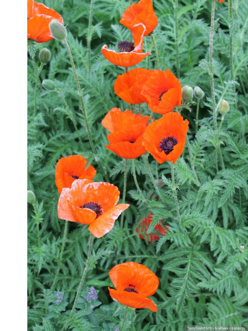 Железный человек: приключеня без брони. Большие выходные в Ярославле, часть 3 (фото 9)