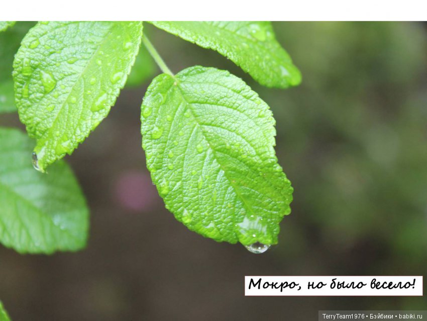 Железный человек: приключеня без брони. Большие выходные в Ярославле, часть 3