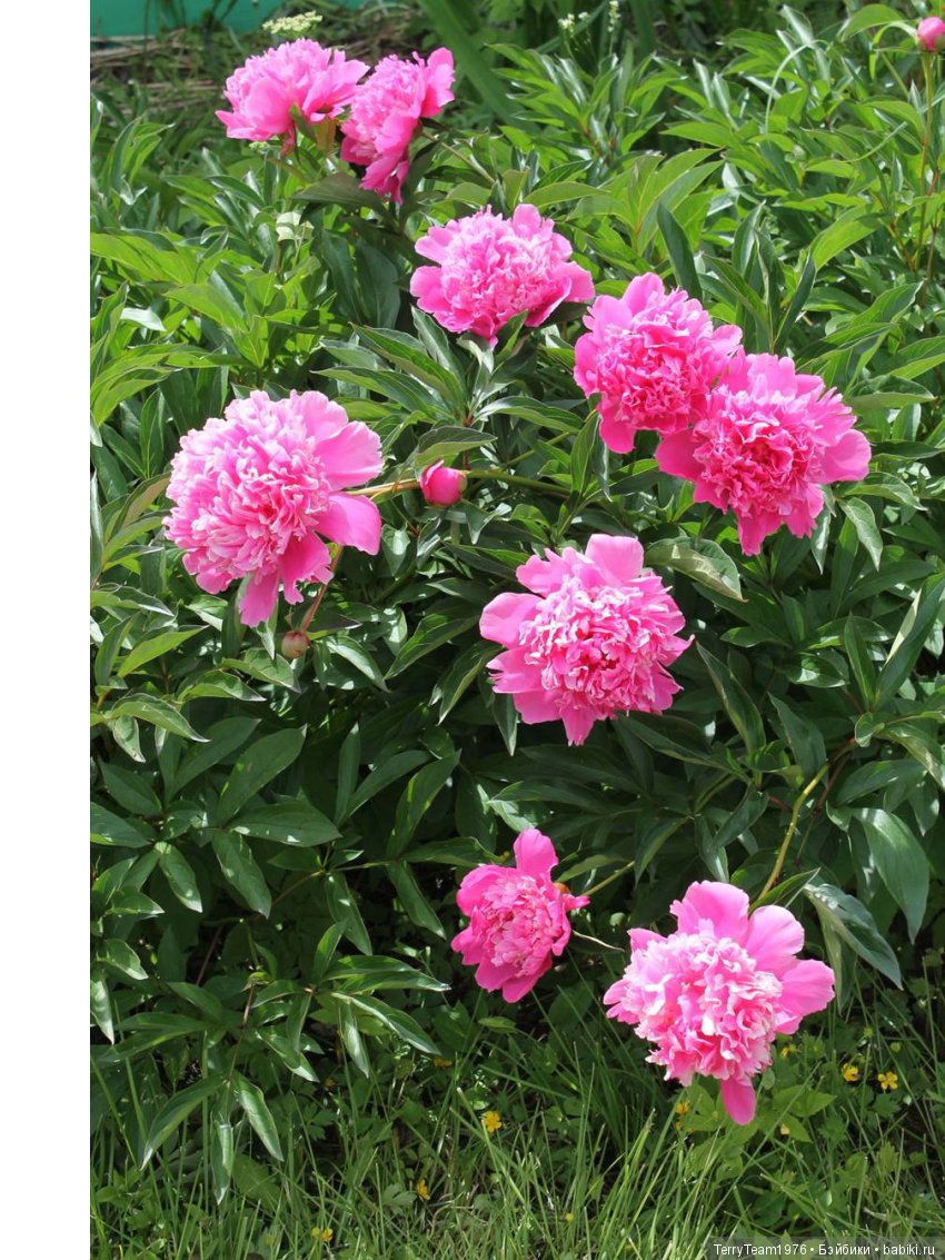 Железный человек: приключеня без брони. Большие выходные в Ярославле, часть 2