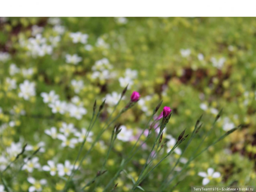 Железный человек: приключеня без брони. Большие выходные в Ярославле, часть 3 (фото 5)