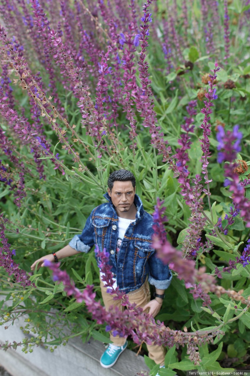Железный человек: приключеня без брони. Сиреневый сад (фото 8)