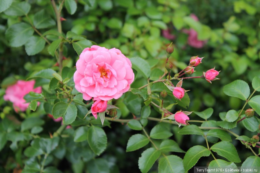 Железный человек: приключения без брони. Отпуск начался