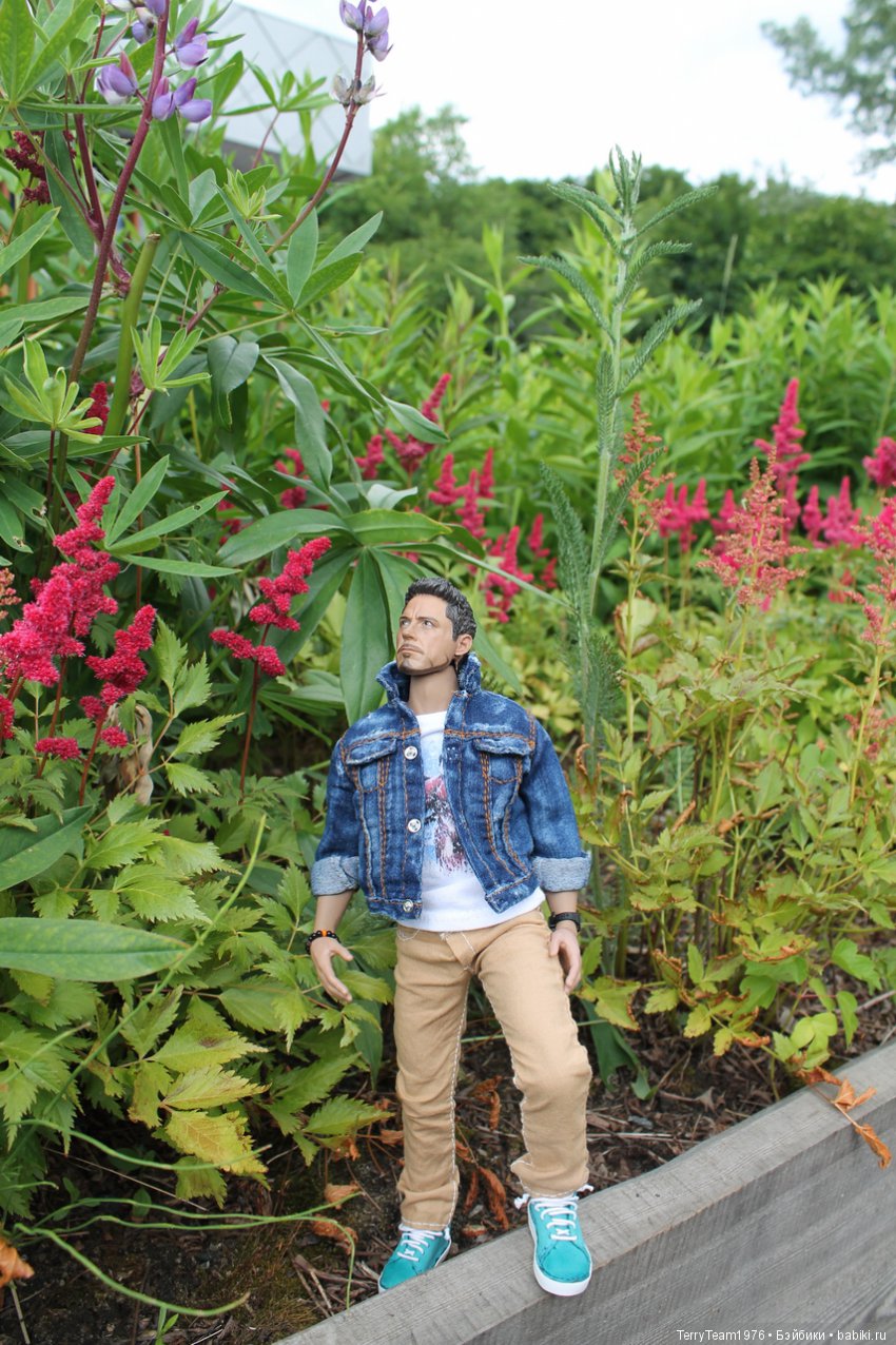 Железный человек: приключеня без брони. Сиреневый сад