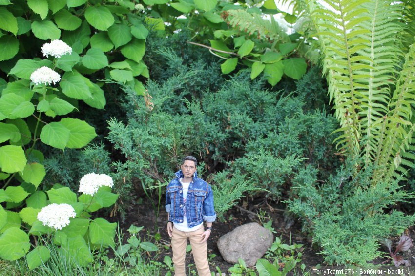 Железный человек: приключения без брони. Отпуск начался