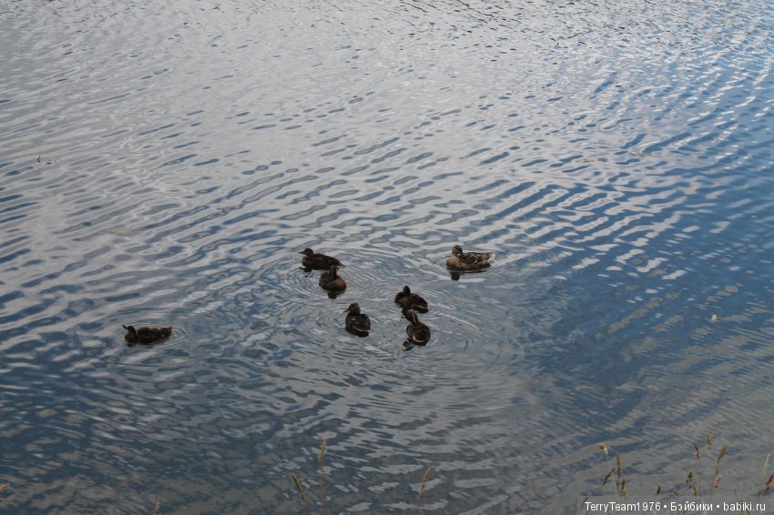 Железный человек: приключения без брони. Отпуск начался
