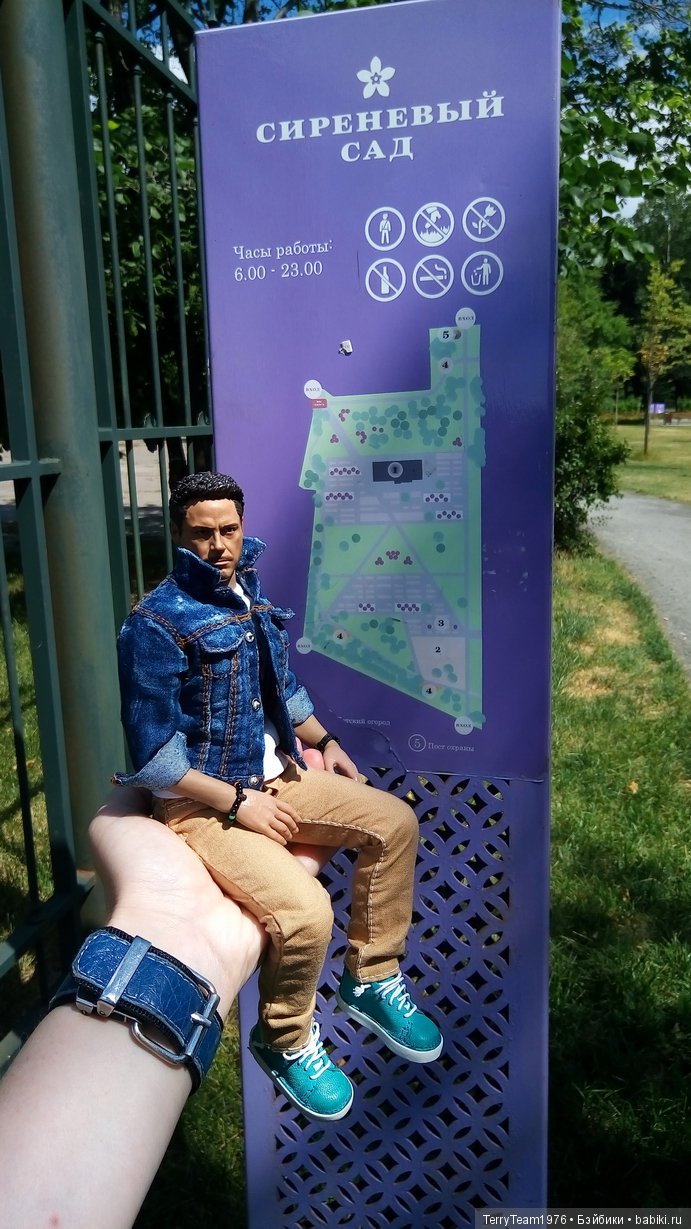 Железный человек: приключеня без брони. Сиреневый сад