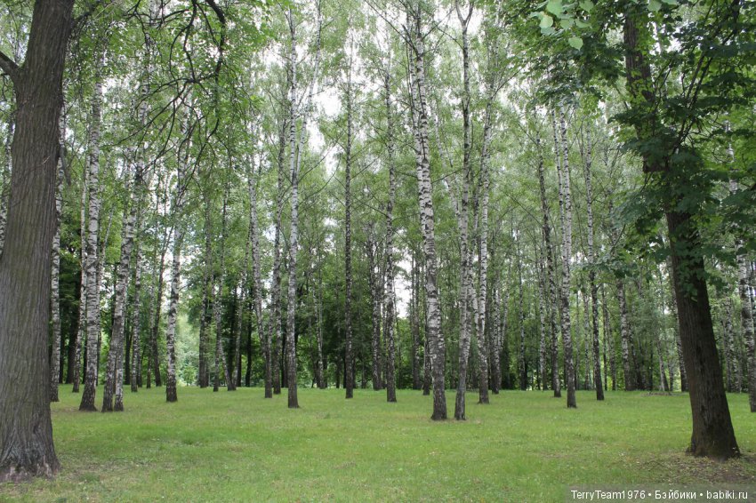 Железный человек: приключения без брони. Отпуск начался