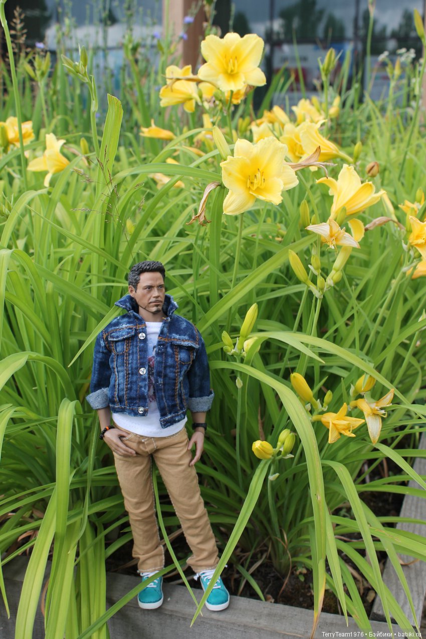 Железный человек: приключеня без брони. Сиреневый сад