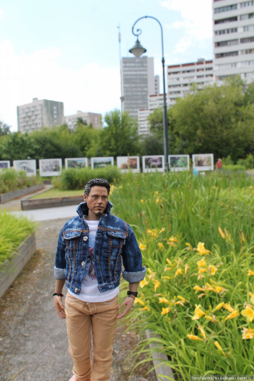 Железный человек: приключеня без брони. Сиреневый сад