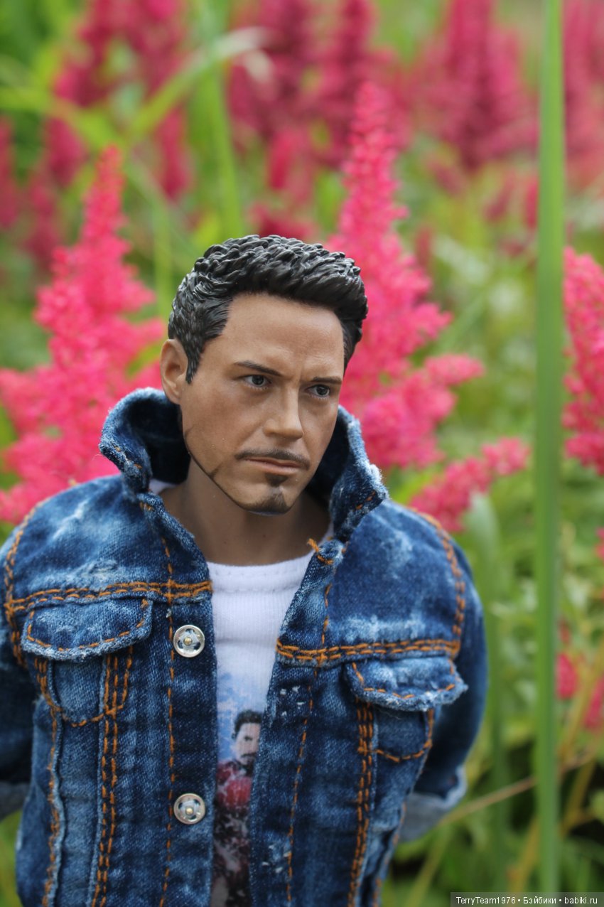 Железный человек: приключеня без брони. Сиреневый сад