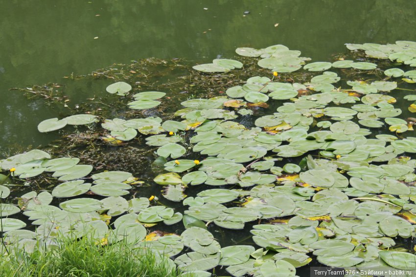 Железный человек: приключения без брони. Отпуск начался