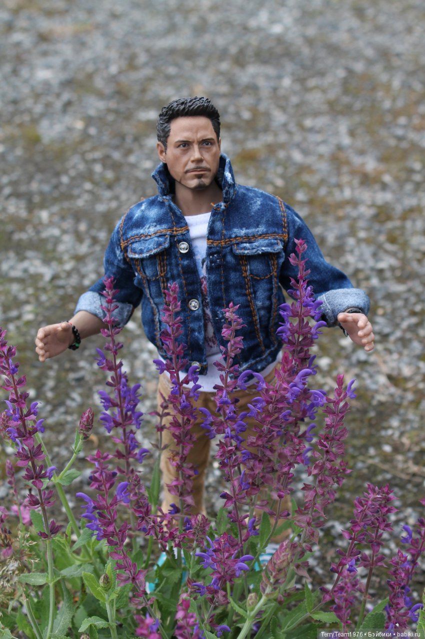 Железный человек: приключеня без брони. Сиреневый сад (фото 5)