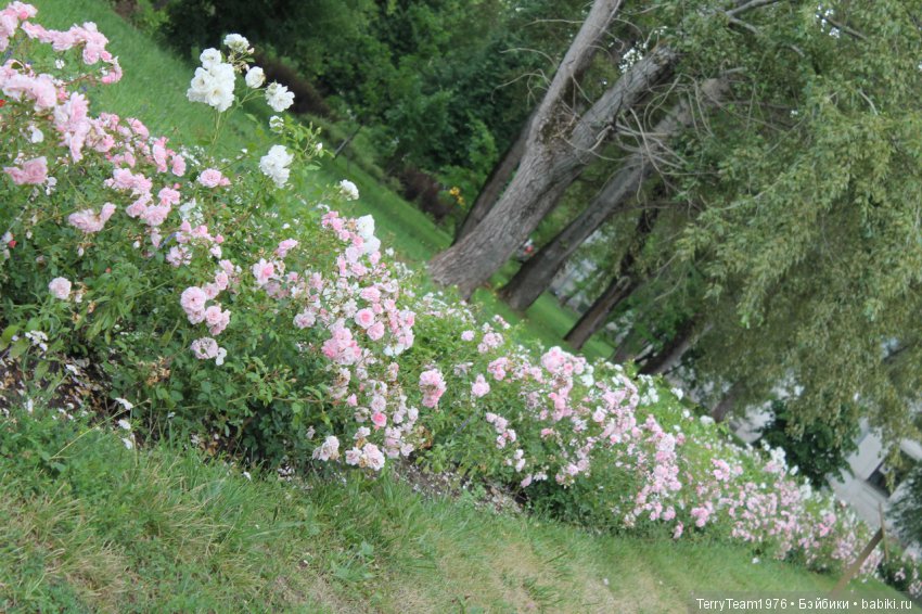 Железный человек: приключения без брони. Отпуск начался