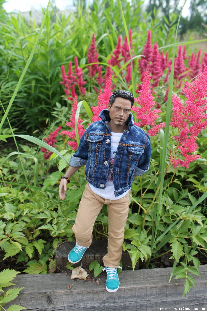 Железный человек: приключеня без брони. Сиреневый сад