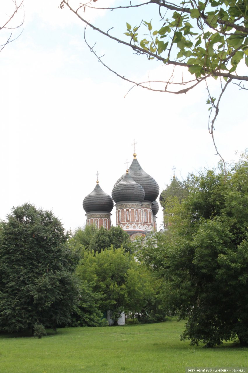 Железный человек: приключения без брони. Отпуск начался (фото 7)