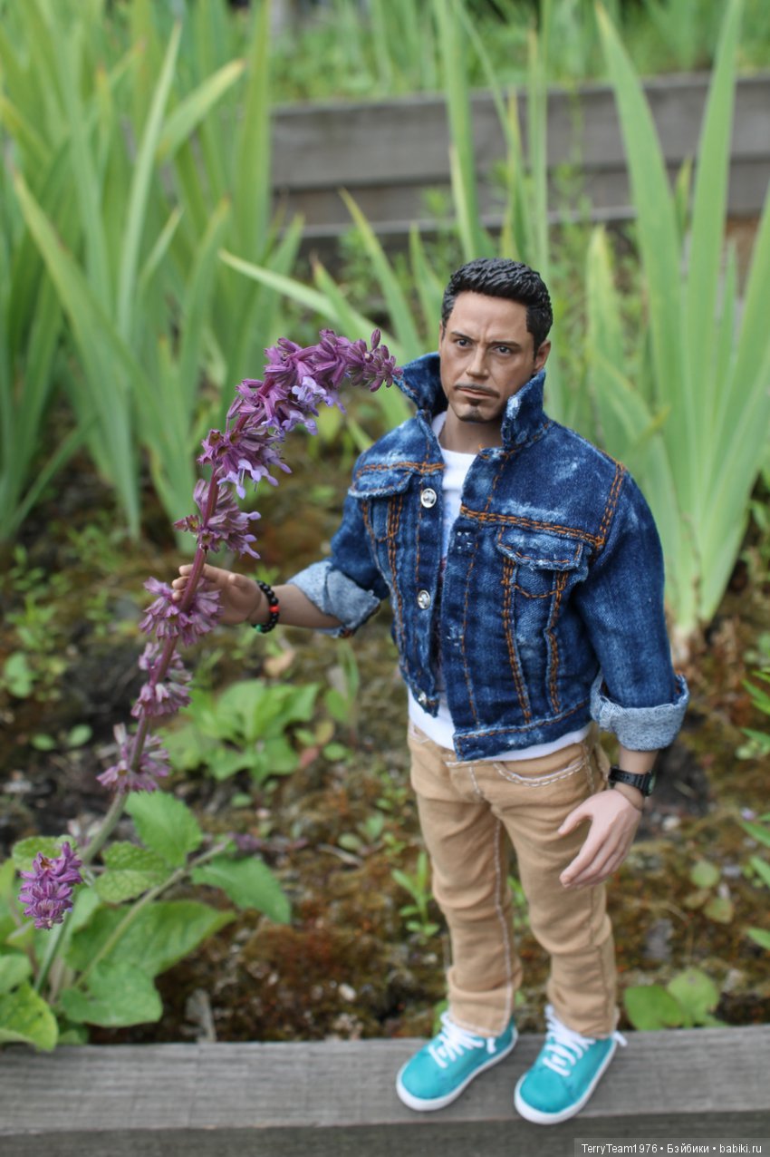 Железный человек: приключеня без брони. Сиреневый сад (фото 4)