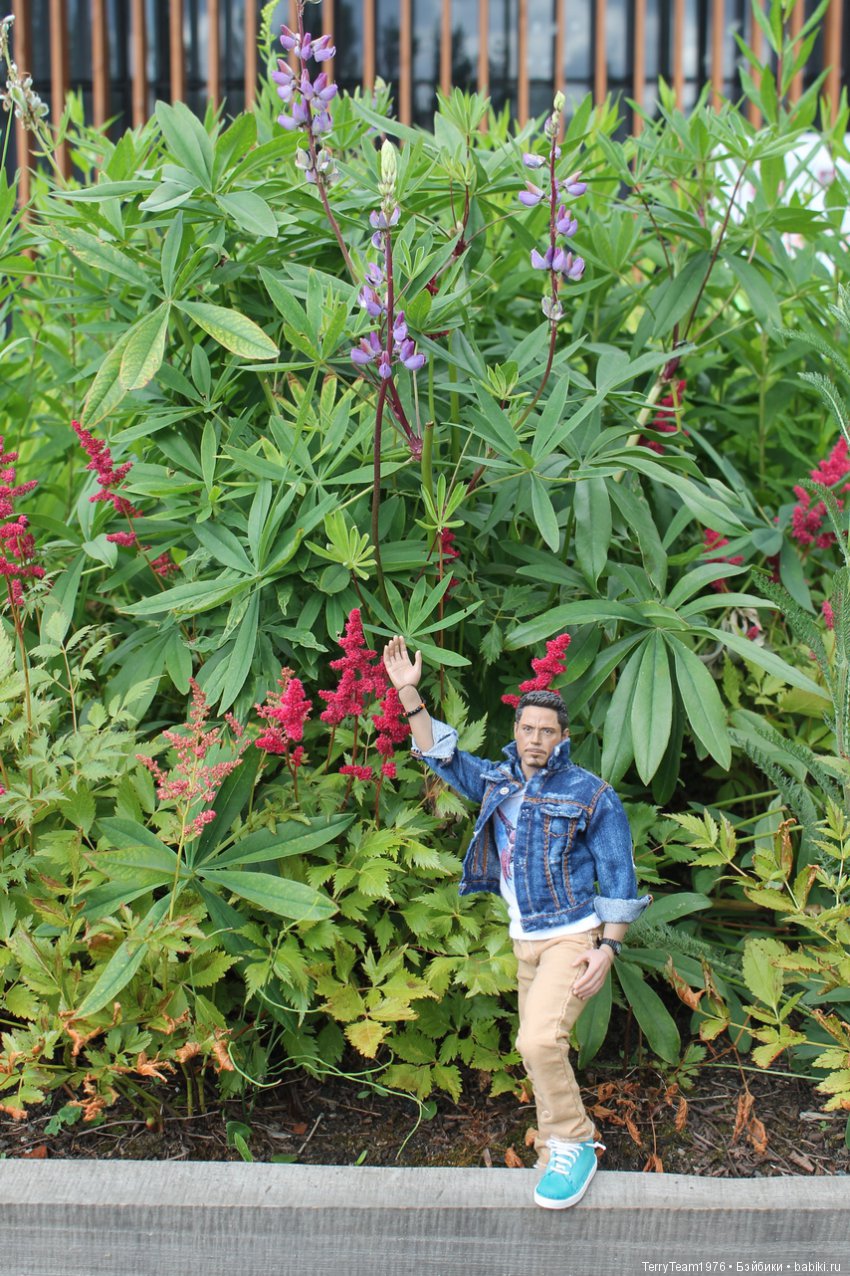 Железный человек: приключеня без брони. Сиреневый сад