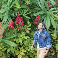 Железный человек: приключеня без брони. Сиреневый сад.