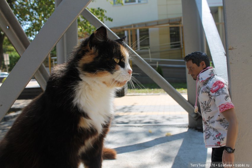 Железный человек: приключеня без брони. Отпуск в Янтарном краю. Ну, и где тут море? Часть 2 (фото 7)