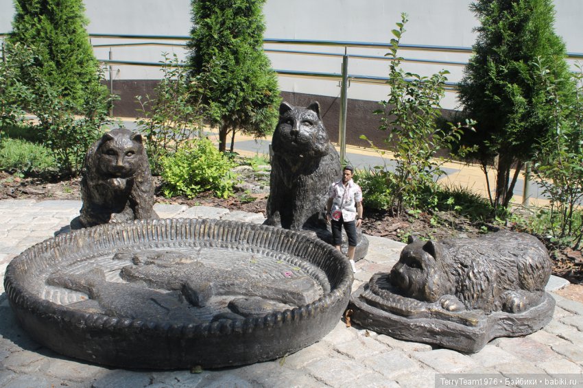 Железный человек: приключеня без брони. Отпуск в Янтарном краю. Ну, и где тут море? Часть 2 (фото 3)