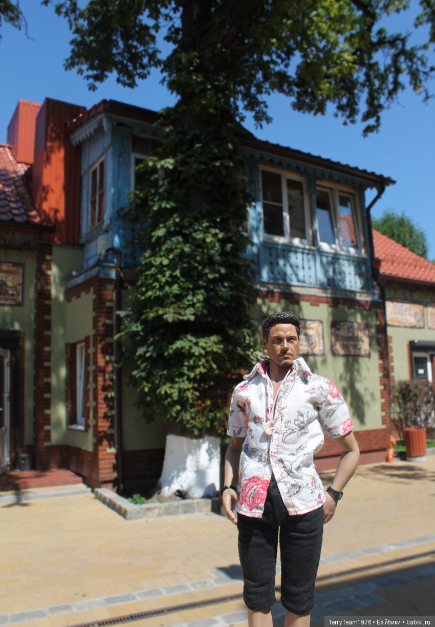 Железный человек: приключеня без брони. Отпуск в Янтарном краю. Ну, и где тут море? Часть 2 (фото 9)