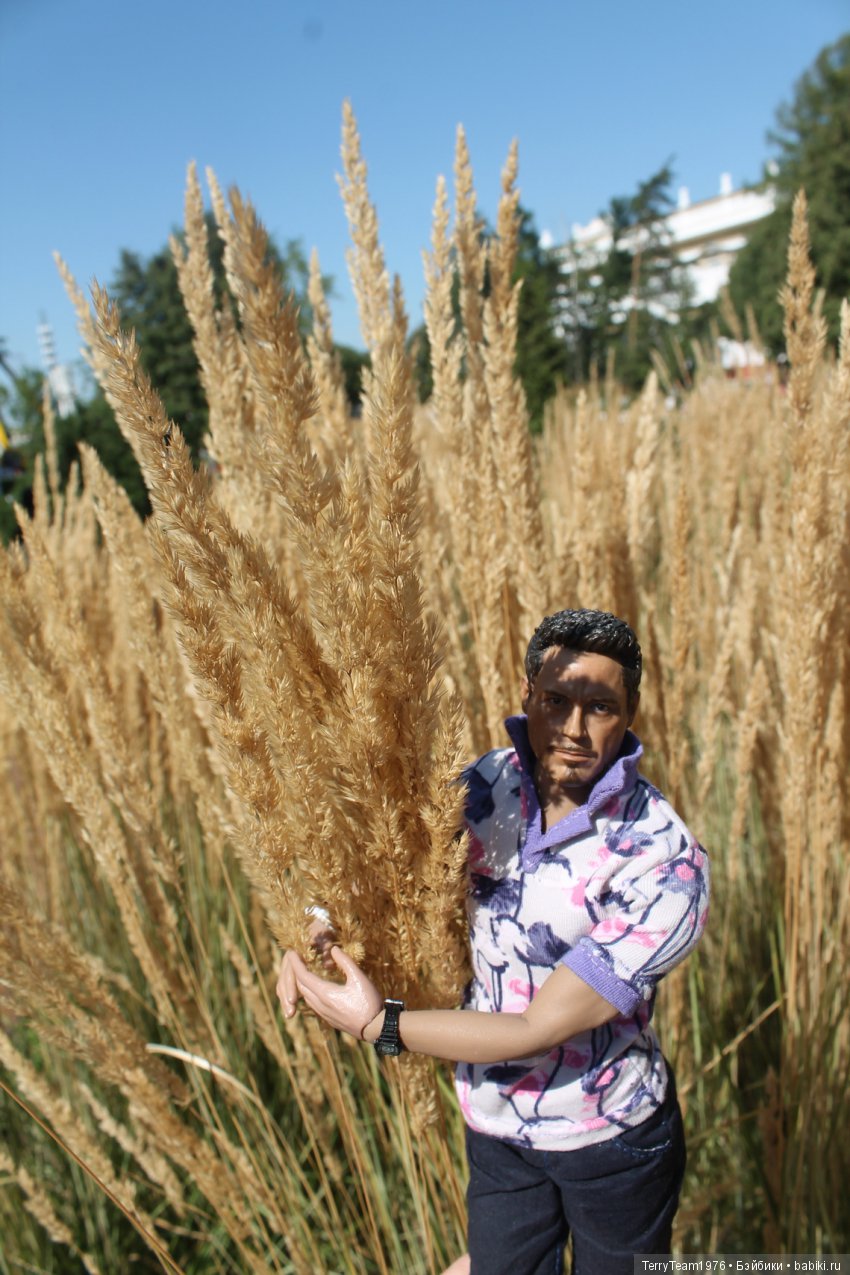 Железный человек: приключеня без брони. И снова ВДНХ