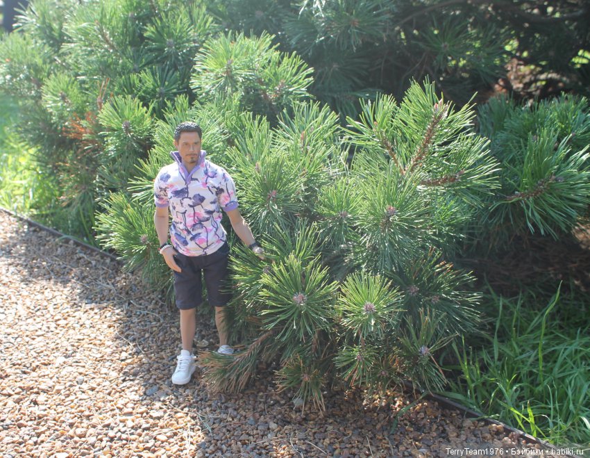 Железный человек: приключеня без брони. И снова ВДНХ