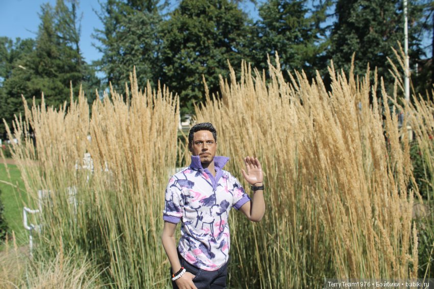 Железный человек: приключеня без брони. И снова ВДНХ (фото 8)