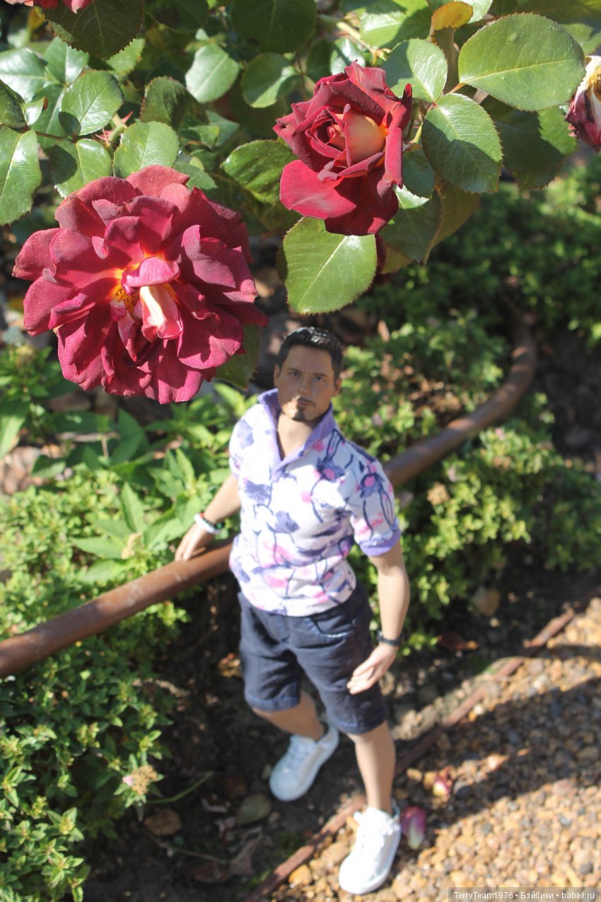 Железный человек: приключеня без брони. И снова ВДНХ (фото 10)