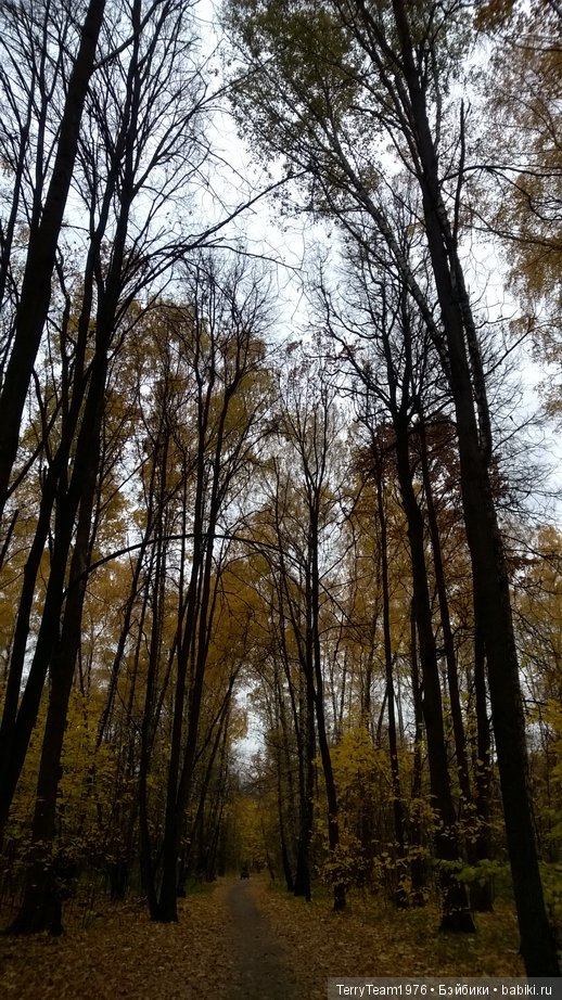 Железный человек: приключения без брони. Большая прогулка одного пуховика | Бэйбики Железный человек: приключения без брони. Большая прогулка одного пуховика