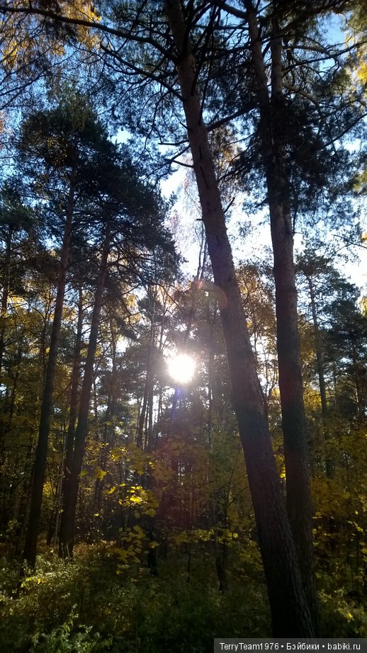 Железный человек: приключения без брони. Большая прогулка одного пуховика | Бэйбики Железный человек: приключения без брони. Большая прогулка одного пуховика (фото 5)