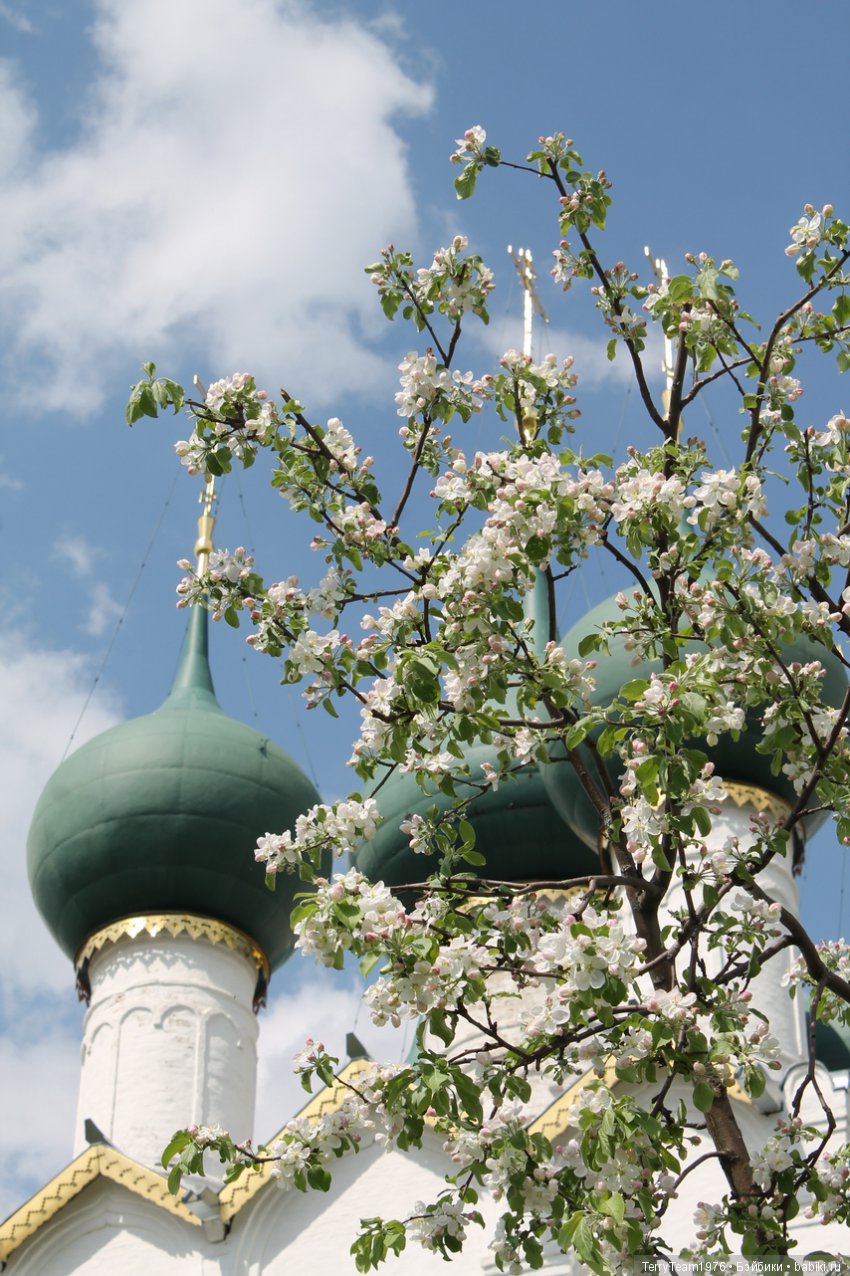 Железный человек: Приключения без брони. Весенние каникулы в Ярославле. Часть 2