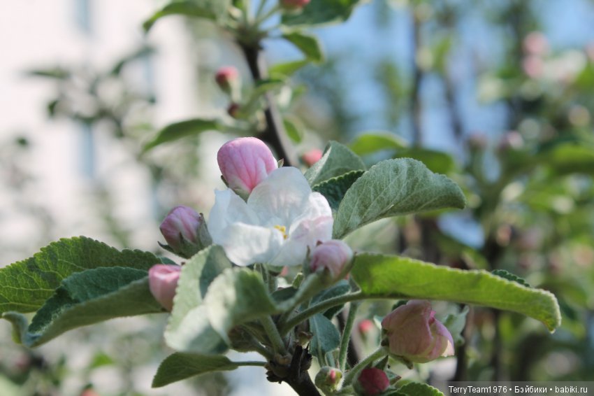 Железный человек: Приключения без брони. Весенние каникулы в Ярославле. Часть 1
