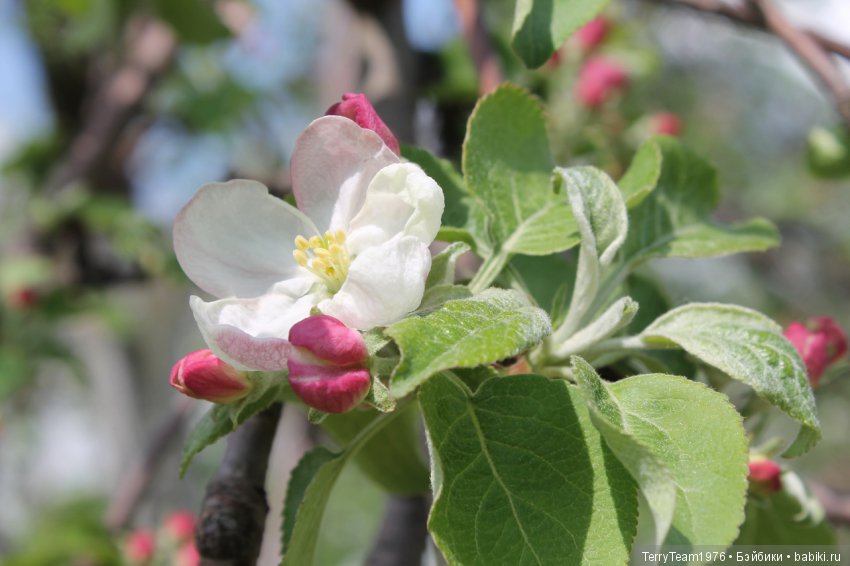 Железный человек: Приключения без брони. Весенние каникулы в Ярославле. Часть 2